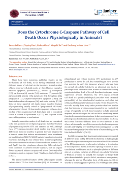 Does the Cytochrome C-Caspase Pathway of Cell Death Occur
