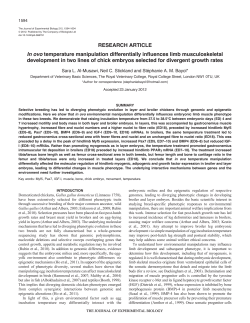 In ovo temperature manipulation differentially influences limb