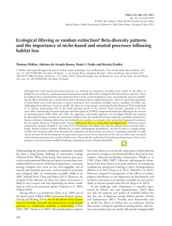 Ecological filtering or random extinction? Beta‐diversity patterns and