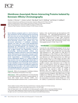 Membrane-Associated, Boron-Interacting