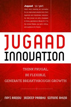- Jugaad Innovation