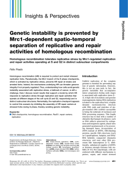 Genetic instability is prevented by Mrc1dependent spatiotemporal