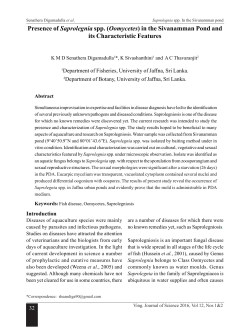Presence of Saprolegnia spp. (Oomycetes) in the Sivanamman