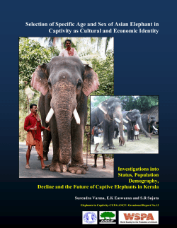 Selection of Specific Age and Sex of Asian Elephant in Captivity as