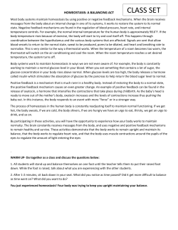 Homeostasis Balancing Act Class set