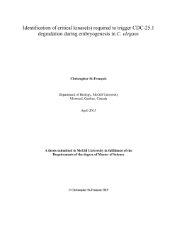 Identification of critical kinase(s) required to