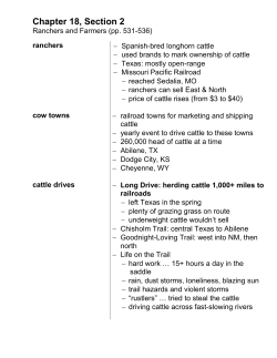 Section 2