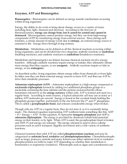 Enzymes, ATP and Bioenergetics
