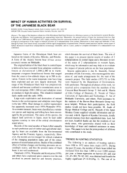 impact of human activities on survival of the japanese black bear