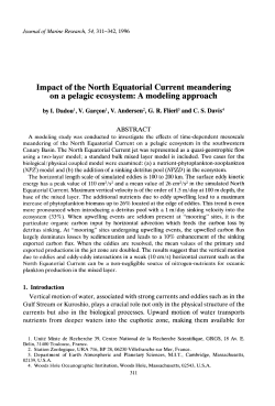 Impact of the North Equatorial Current meandering on a pelagic