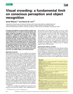 Visual crowding: a fundamental limit on conscious perception and