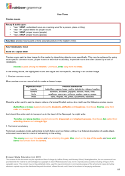 Precise nouns - Sutton Road Primary and Nursery School