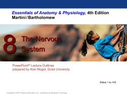 The Nervous System