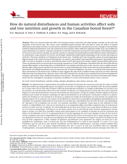 How do natural disturbances and human activities affect