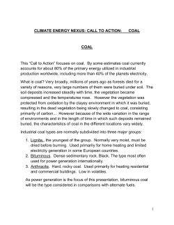 CLIMATE ENERGY NEXUS: CALL TO ACTION: COAL COAL This