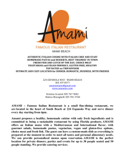 AMAMI presentation for concierge word low