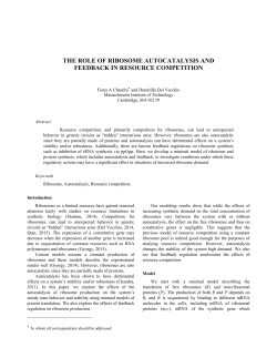 the role of ribosome autocatalysis