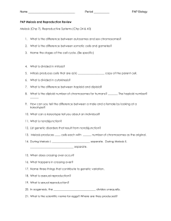 PAP Biology PAP Meiosis and Reproduction Review Meiosis (Chp 7)