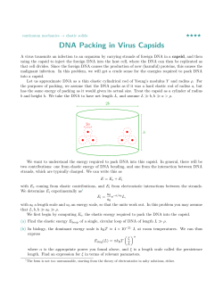 DNA Packing in Virus Capsids
