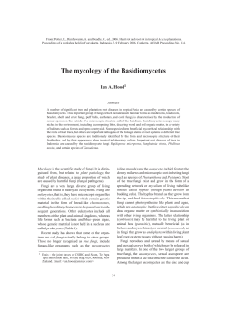 The mycology of the Basidiomycetes