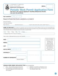 Periodic Work Permit Application Form