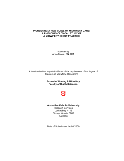 PIONEERING A NEW MODEL OF MIDWIFERY CARE: A