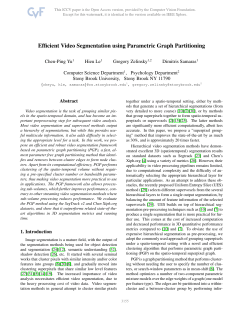 Efficient Video Segmentation Using Parametric Graph Partitioning