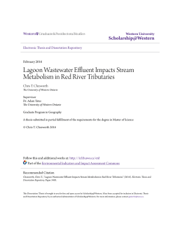 Lagoon Wastewater Effluent Impacts Stream Metabolism in Red