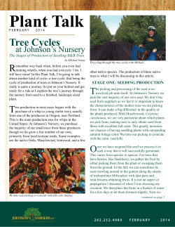 Plant Talk, Tree Cycles