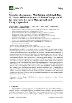 Full-Text PDF