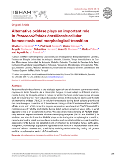 Alternative oxidase plays an important role in