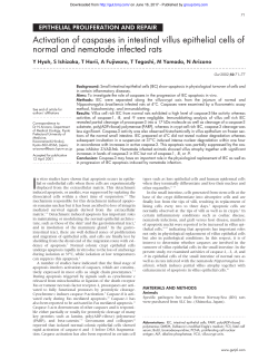 Activation of caspases in intestinal villus epithelial cells of normal