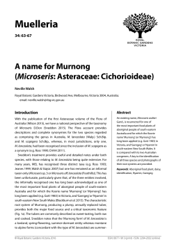 A name for Murnong - Royal Botanic Gardens Victoria