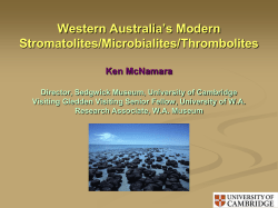microbialites /thrombolites3.35 MB
