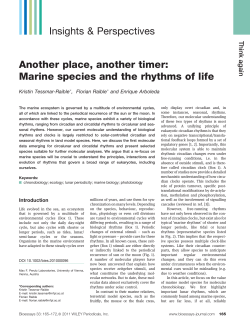 Another place, another timer: Marine species and the rhythms of life