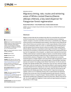 Migratory timing, rate, routes and wintering areas of White