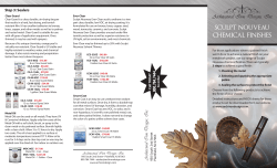 sculpt nouveau chemical finishes