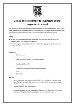 Using a choice chamber to investigate animal responses to stimuli