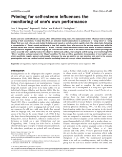 Priming for self-esteem influences the monitoring