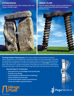 STONEHENGE HINGE PLATE