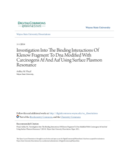 Investigation Into The Binding Interactions Of Klenow Fragment To