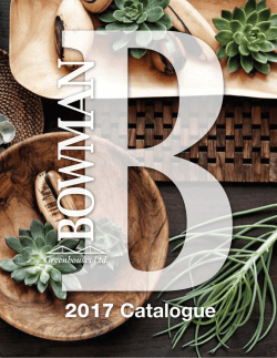 the 2017 Catalogue