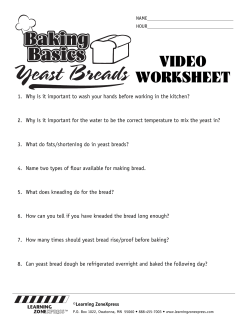 video worksheet - Learning Zone Express