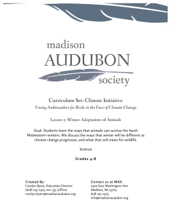 Lesson 5 Outline - Madison Audubon Society