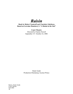 Raisin - Court Theatre