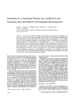 Antibodies to a Nucleolus after Nucleolar Protein