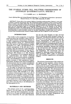 the ovarian nurse cell polytene chromosomes of anopheles