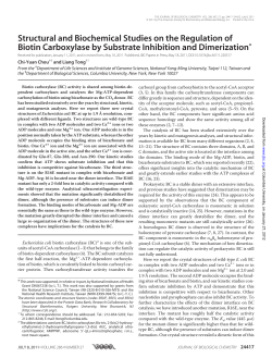 Structural and Biochemical Studies on the Regulation of Biotin
