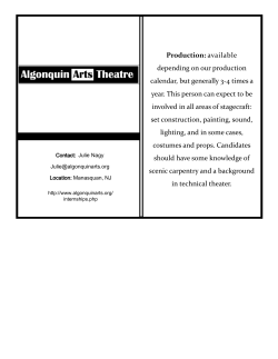 Internship Information Flyer