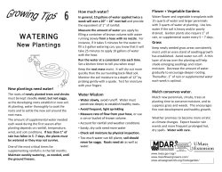 Watering New Plantings